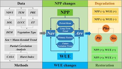 Assessing restoration and degradation of natural and artificial vegetation in the arid zone of Northwest China